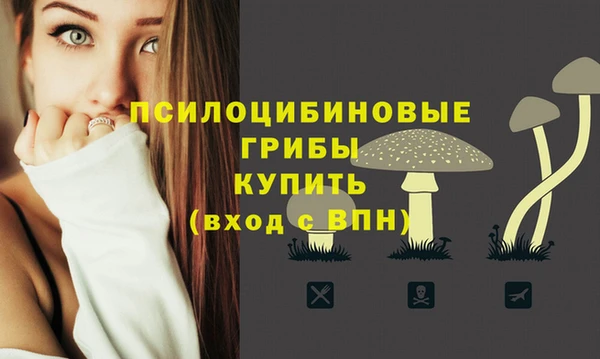 ПСИЛОЦИБИНОВЫЕ ГРИБЫ Нефтегорск