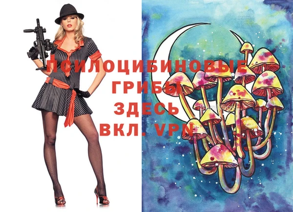 спайс Нефтекумск