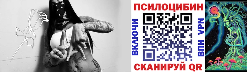 blacksprut ссылки  это телеграм  Торжок  Псилоцибиновые грибы мицелий  закладка 